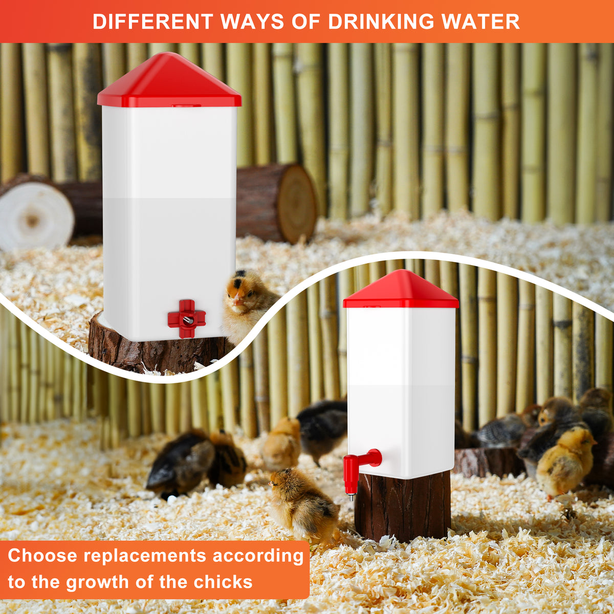 Baby Chick Waterer 0.26 Gal with Versatile- and Horizontal Nipple Drinker