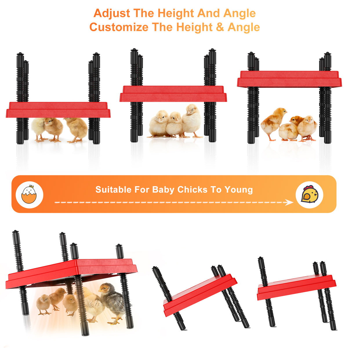 Brooder Plate for Chicks with Temperature Adjustable and Display, 10" x 10" Chick Heater Plate Heating With Screen