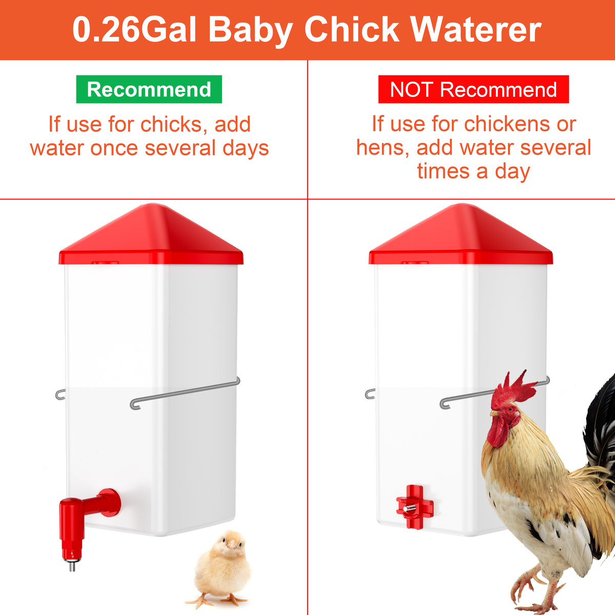 Baby Chick Waterer 0.26 Gal with Versatile- and Horizontal Nipple Drinker