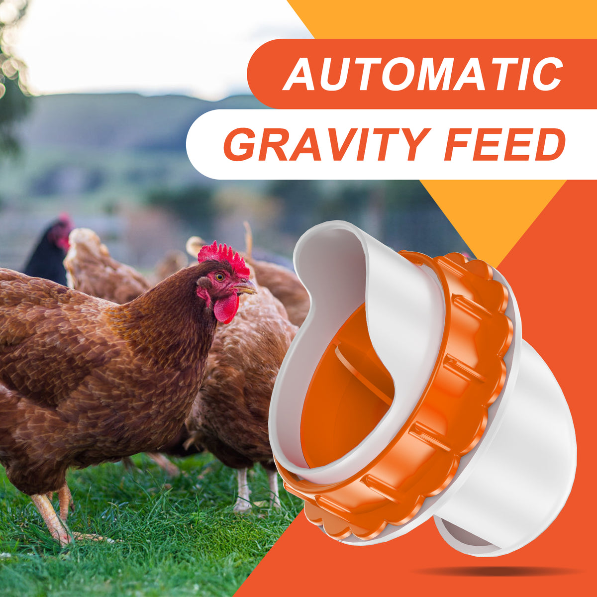 No Waste Chicken Feeders, DIY Automatic Poultry Feeder Orange