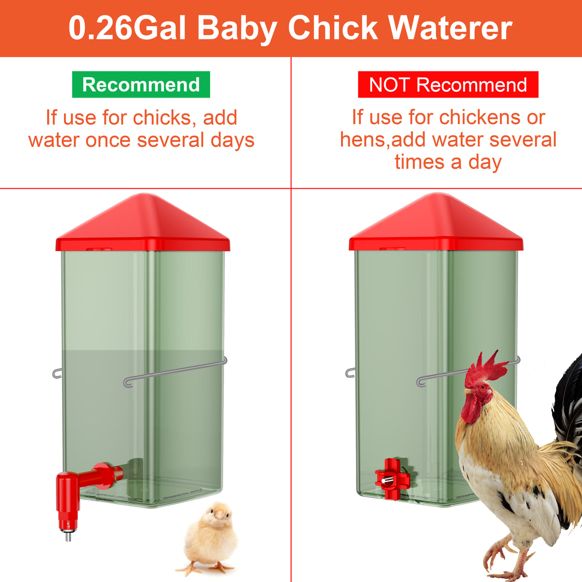 Baby Chick Waterer 0.26 Gal with Versatile- and Horizontal Nipple Drinker