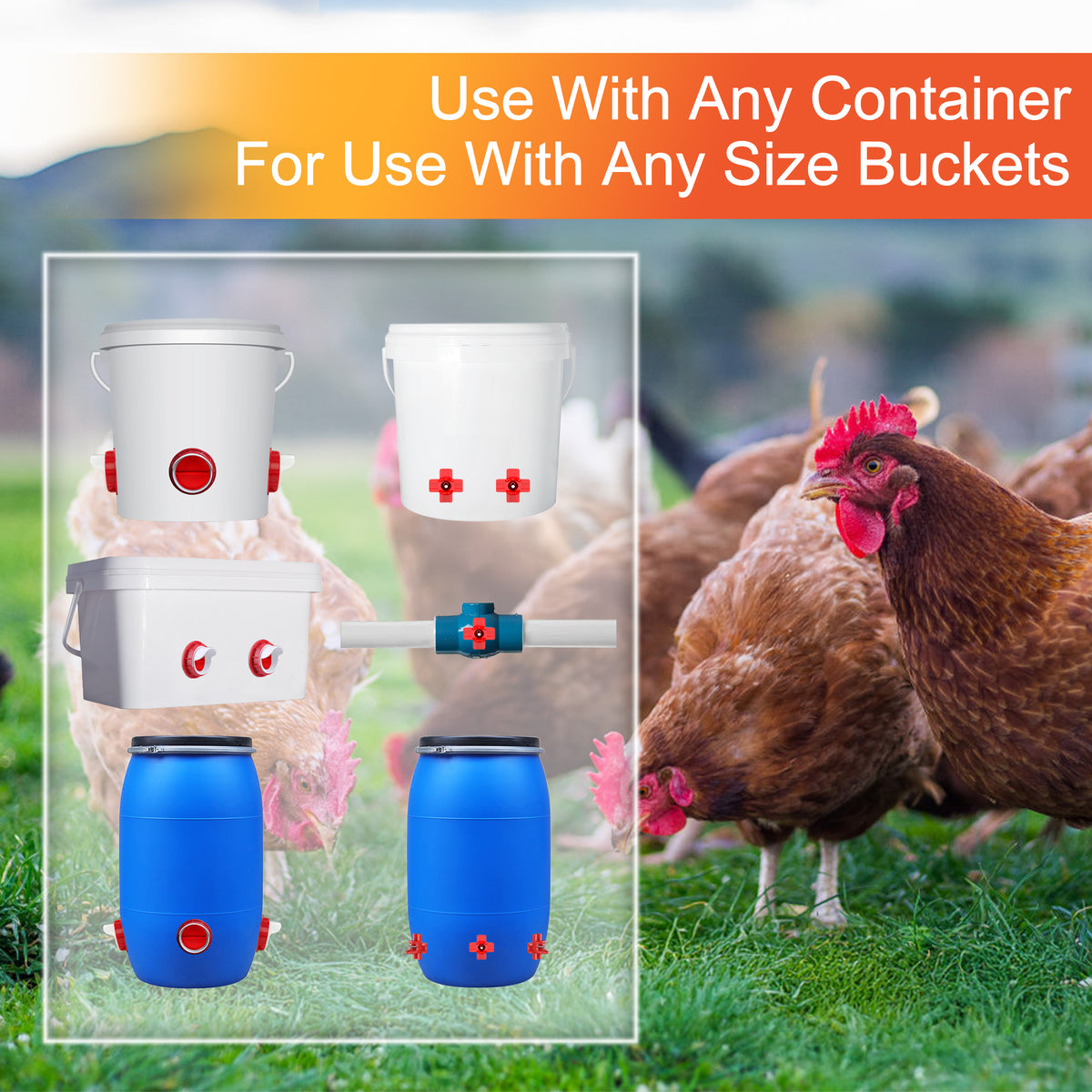 Chicken Feeders and Waterers