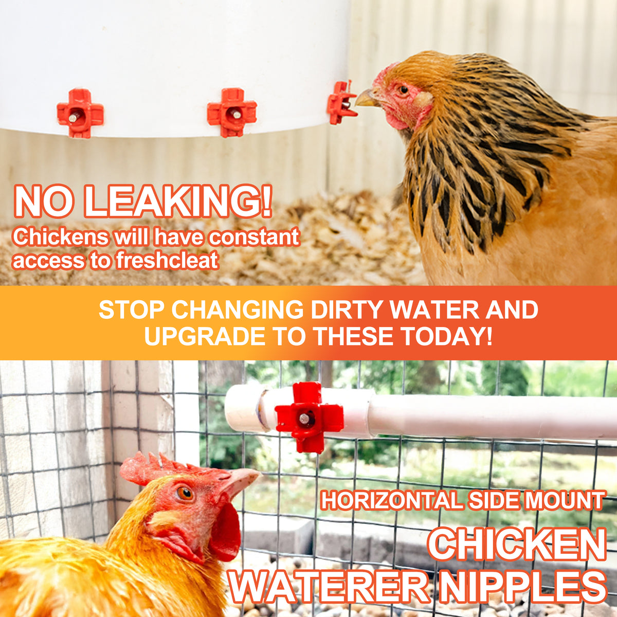 ZenxyHoC Chicken Waterers