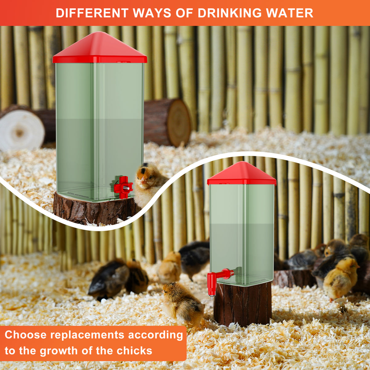 Baby Chick Waterer 0.26 Gal with Versatile- and Horizontal Nipple Drinker