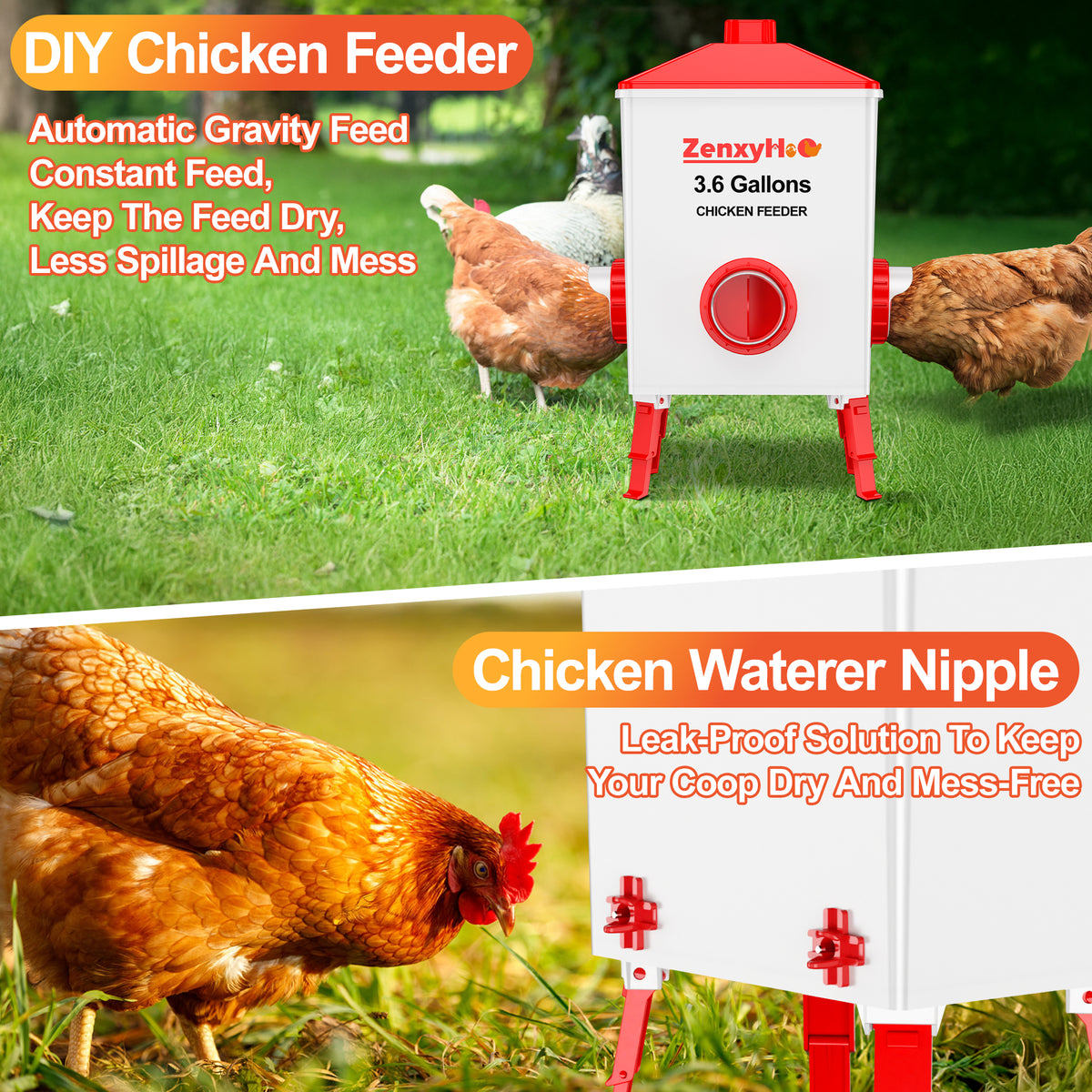 Chicken Feeders and Waterers