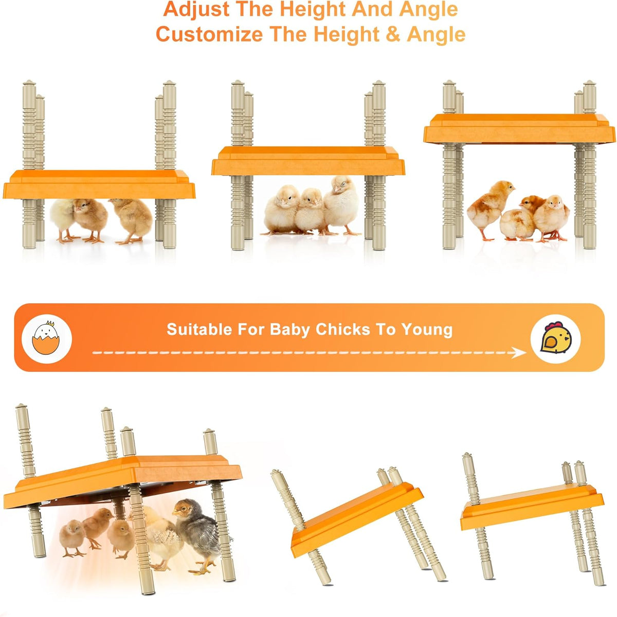 Brooder Plate for Chicks with Temperature Adjustable and Display, 10" x 10" Chick Heater Plate Heating With Screen