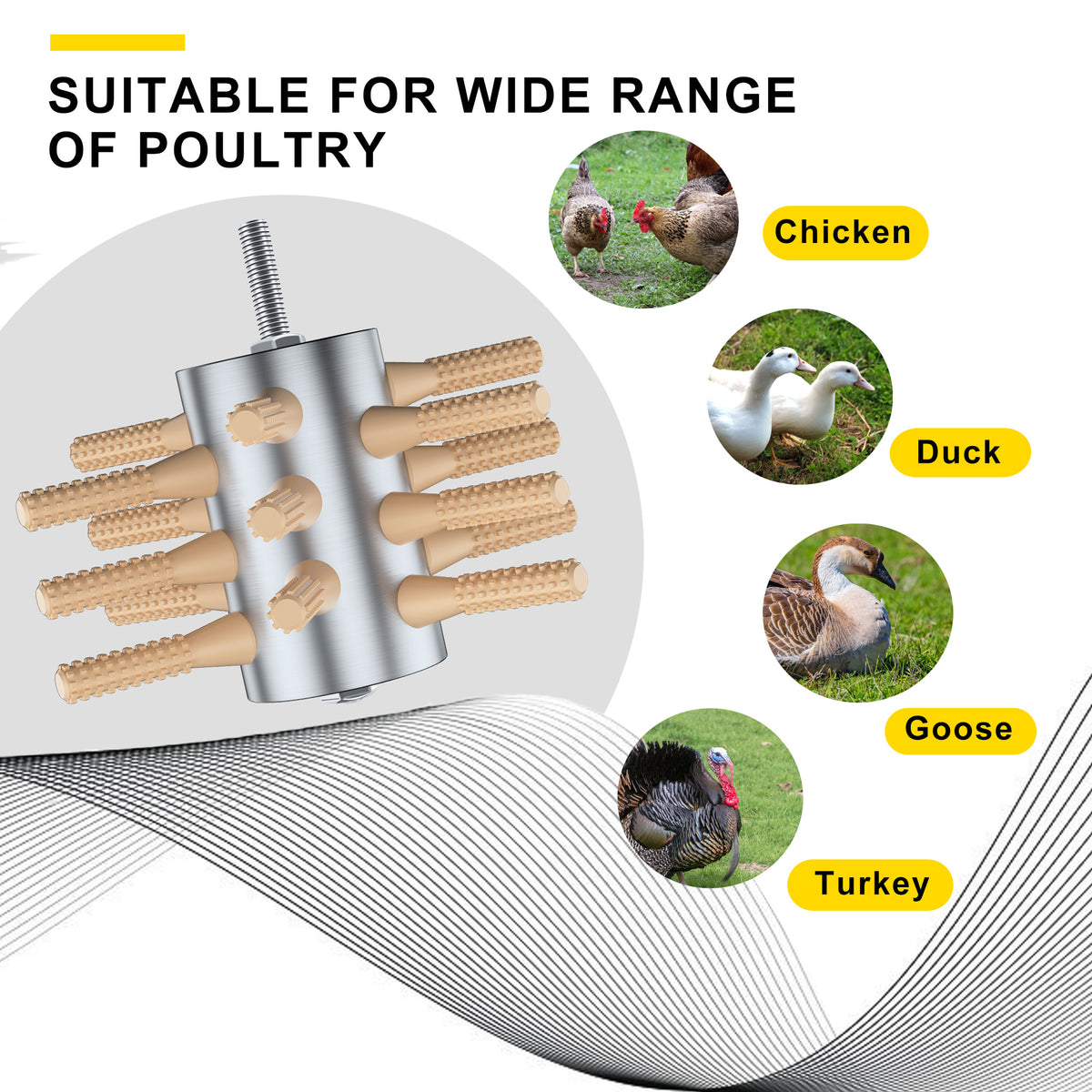 Chicken Plucker Drill Attachment, 3/8" MPT Shank Stainless Steel Chicken Plucker Machine, 18 Soft Fingers Poultry Defeathering Machine for Chicken Turkey Pheasant