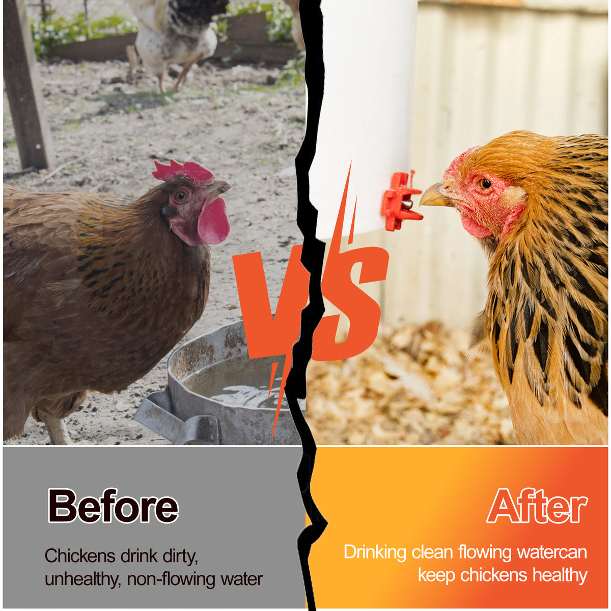 ZenxyHoC Chicken Waterers