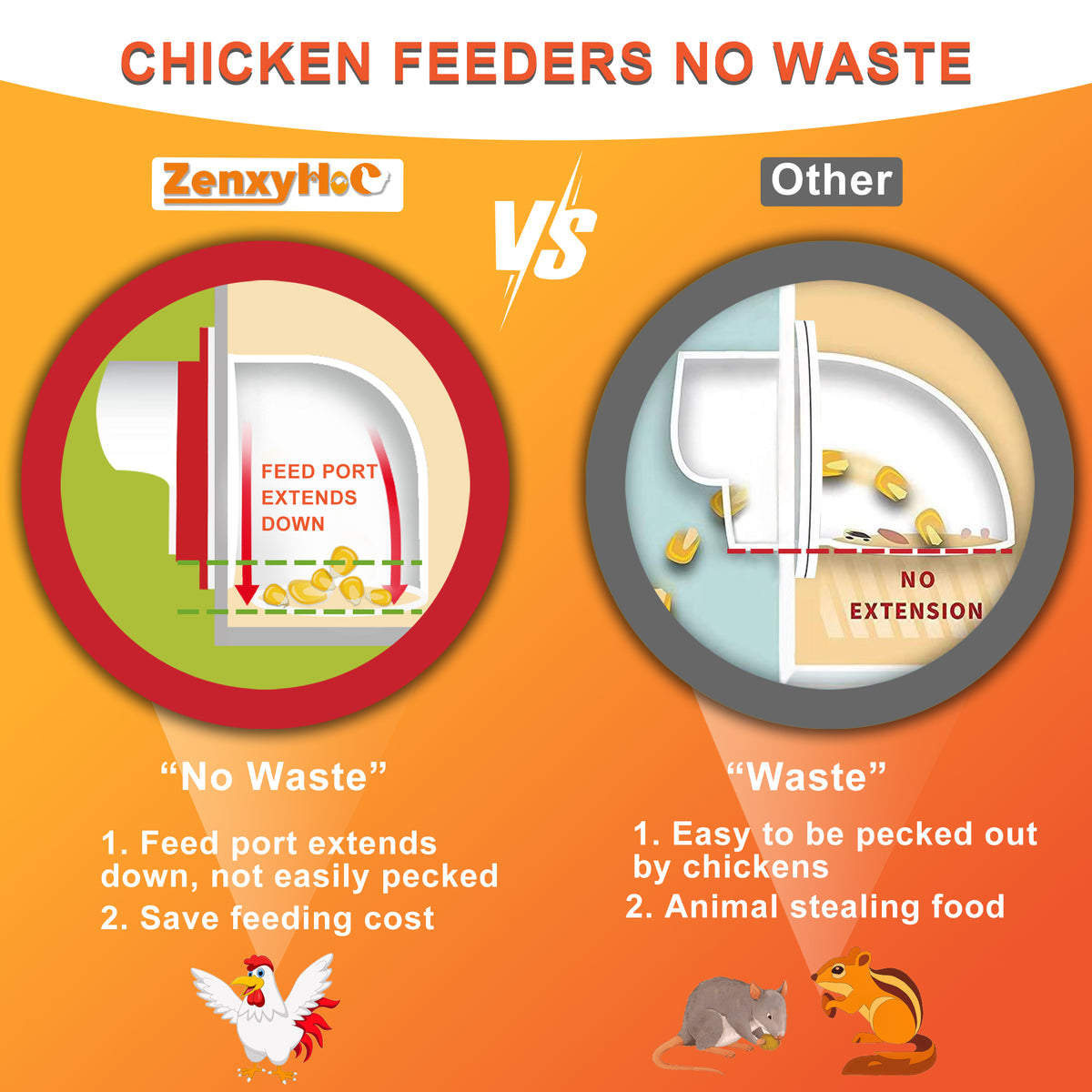 Chicken Feeders and Waterers