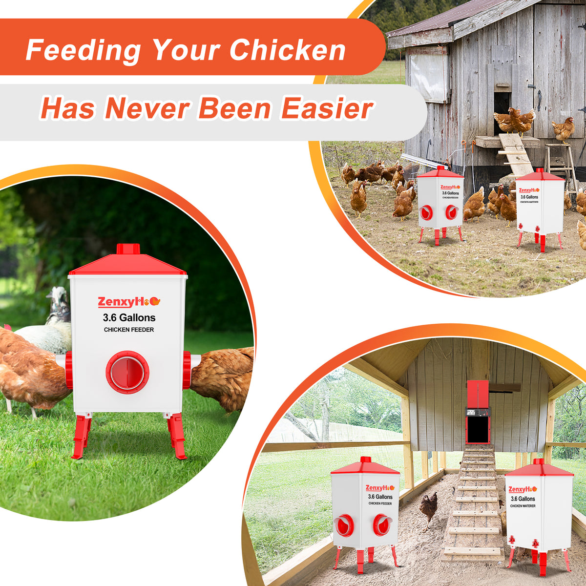 Chicken Feeders and Waterers