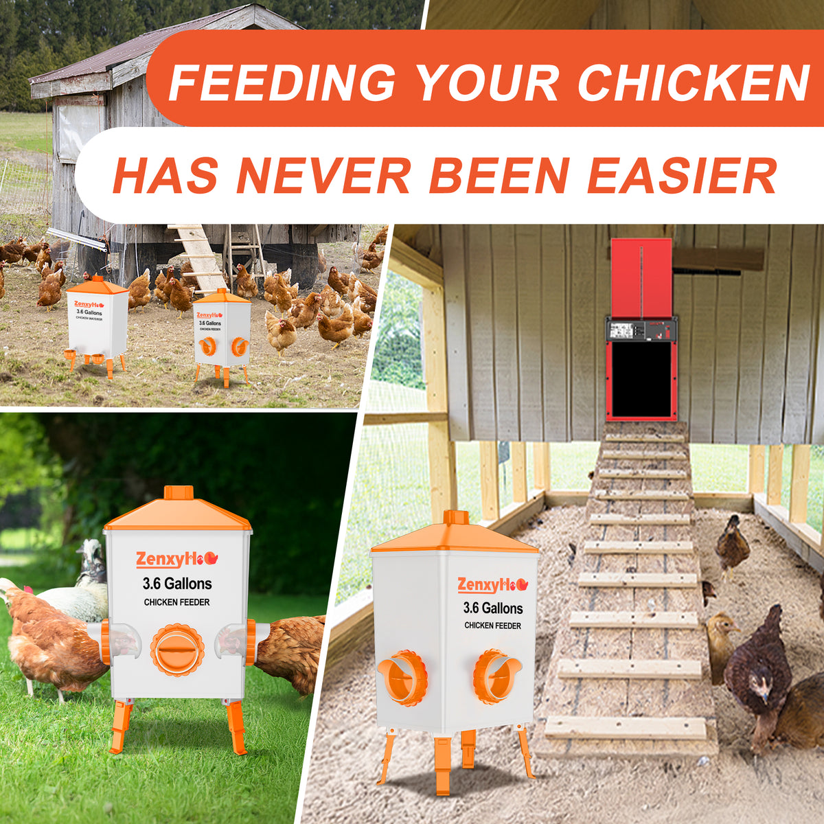 No Waste Chicken Feeders, DIY Automatic Poultry Feeder Orange